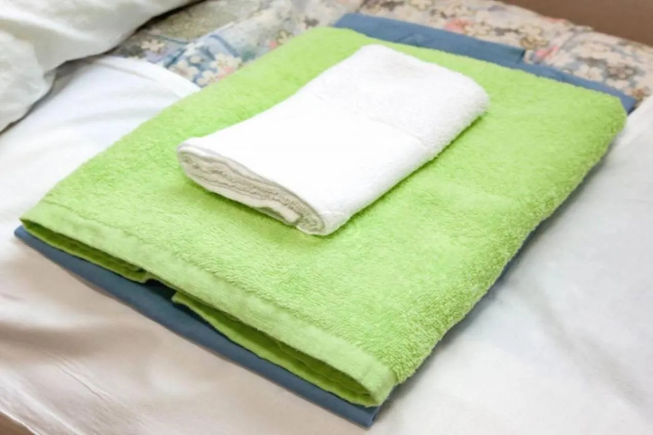Hotel Raizan / Vacation Stay 9367 Osaka 0*,  Japan
